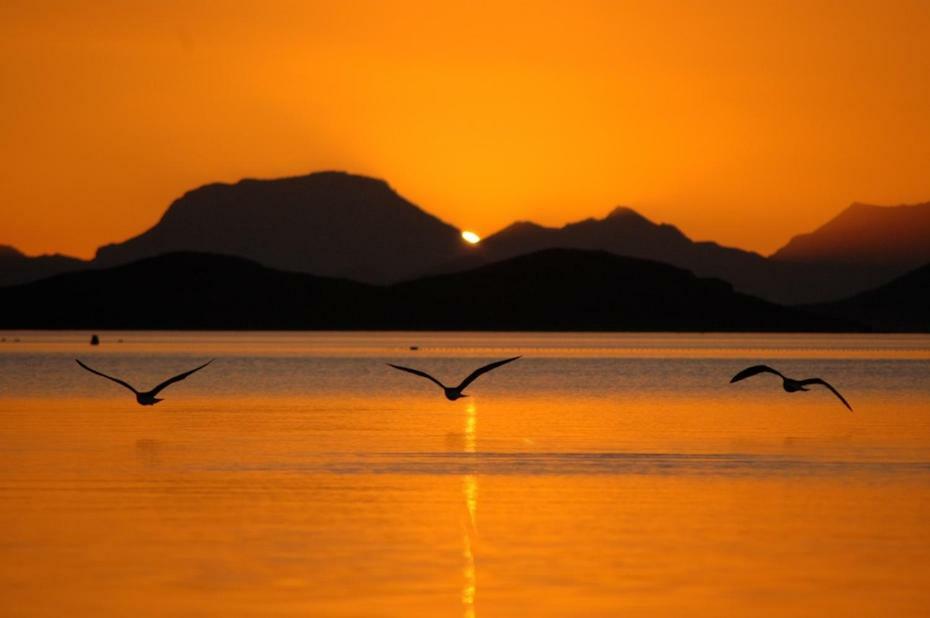 El Vivero Del Mar Menor Villa La Manga del Mar Menor Buitenkant foto